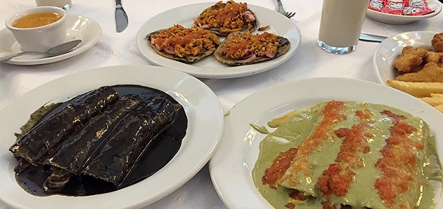 El Faisan, Cuernavaca