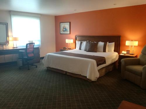 Mision Express Pachuca, Pachuca