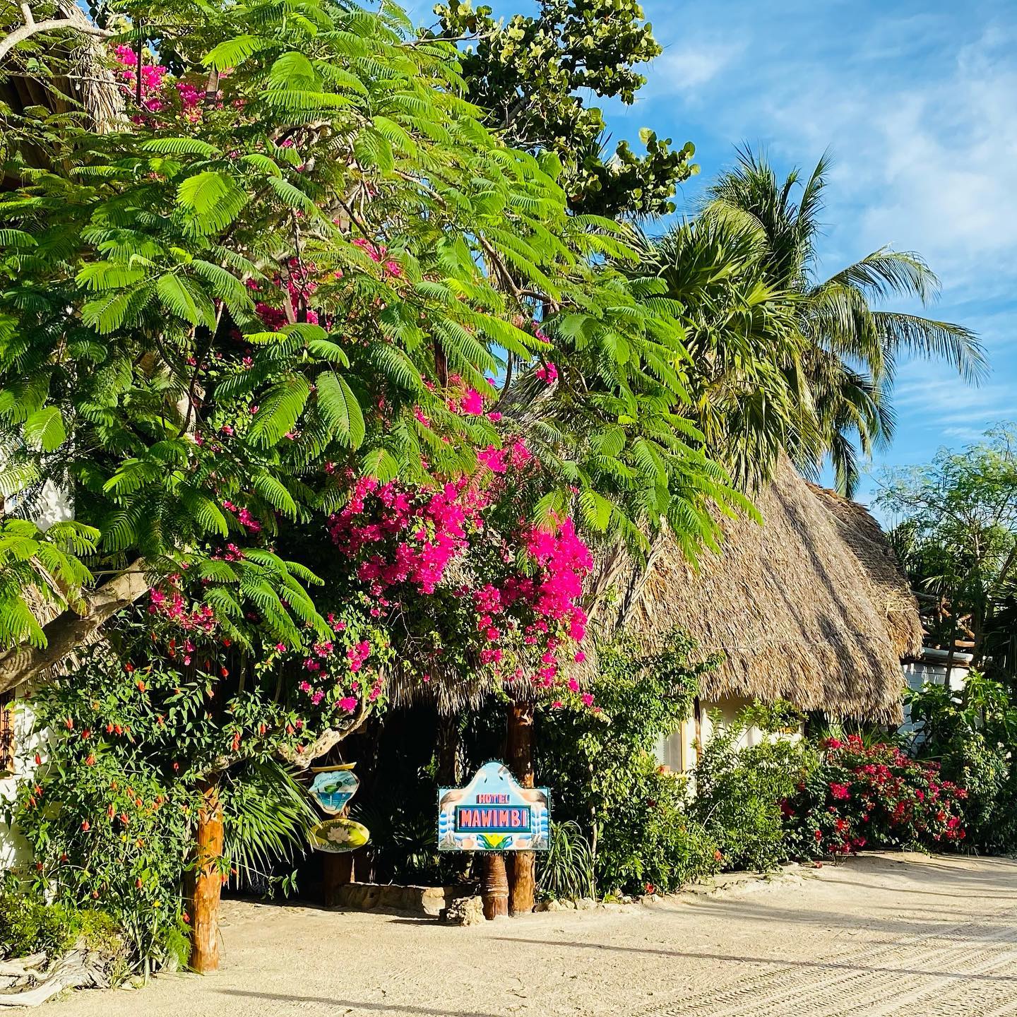 Mawimbi, Holbox