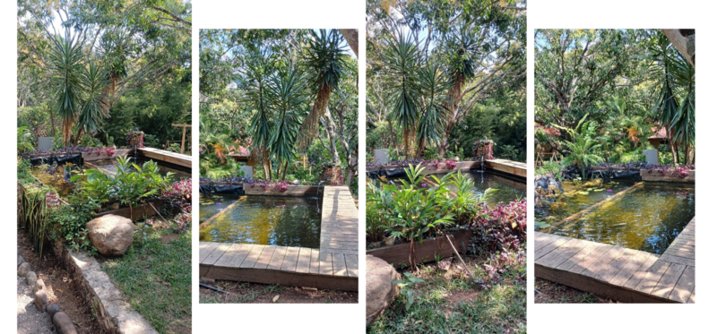 Aldea ® , Jalcomulco