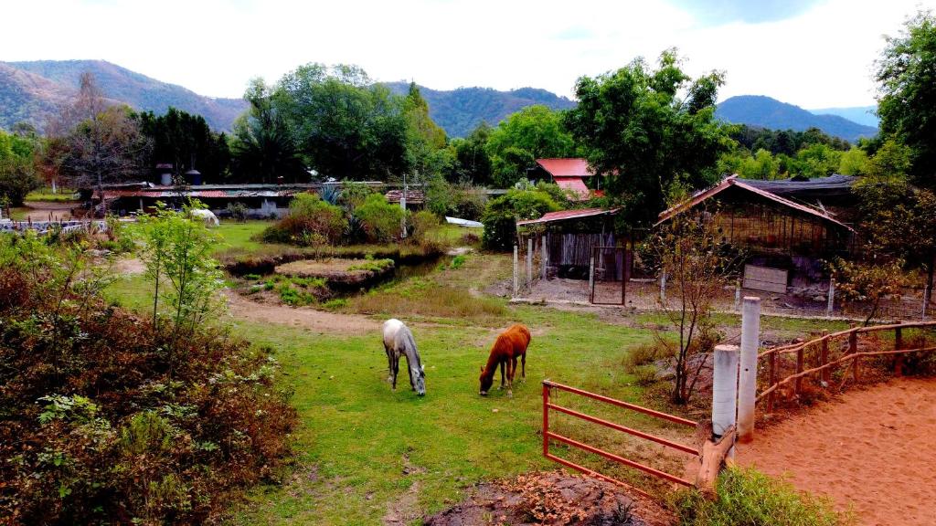 El Reencuentro, Valle de Bravo