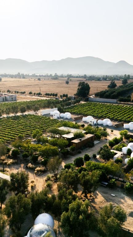 Campera Hotel Burbuja, Valle de Guadalupe