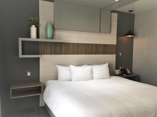 ESDUMA HK Hotel Pachuca, Pachuca