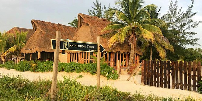 Rhincodon Typus Glamping, Holbox