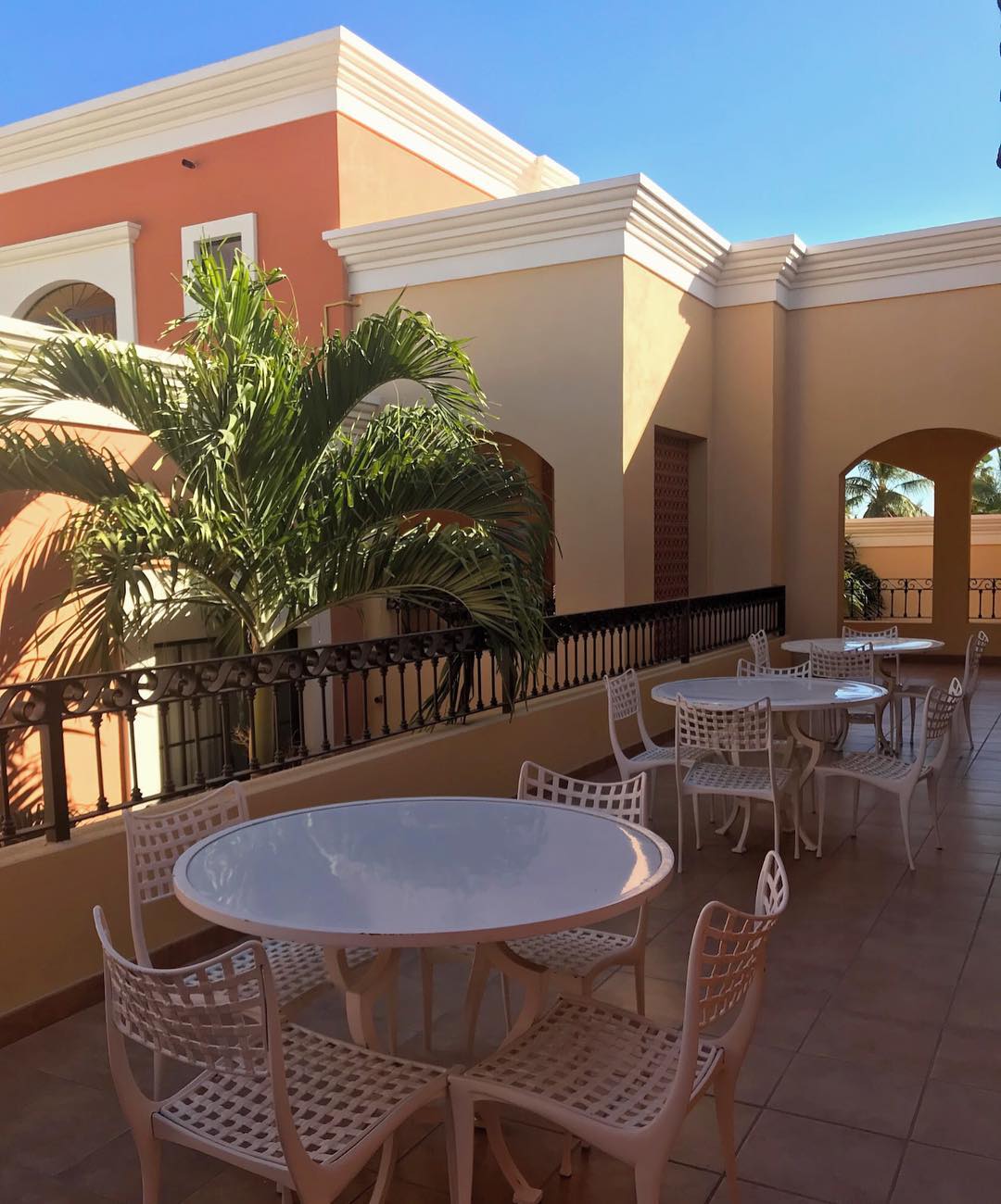 Colli, Los Cabos