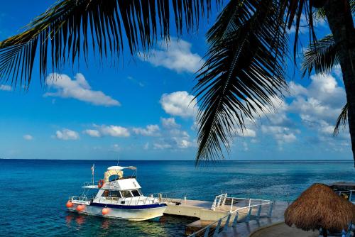 Cozumel Palace, Cozumel